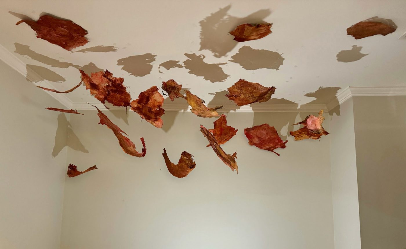 Mind Maps